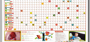 Card_view_babycalanderfinal